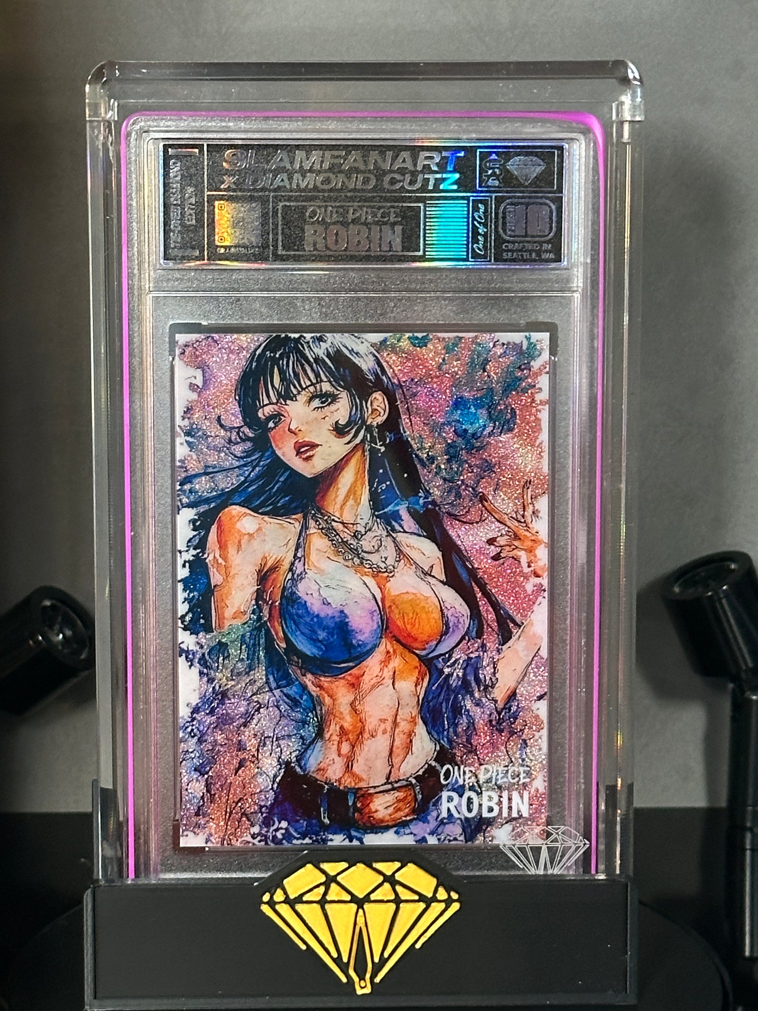 One Piece Splash Robin