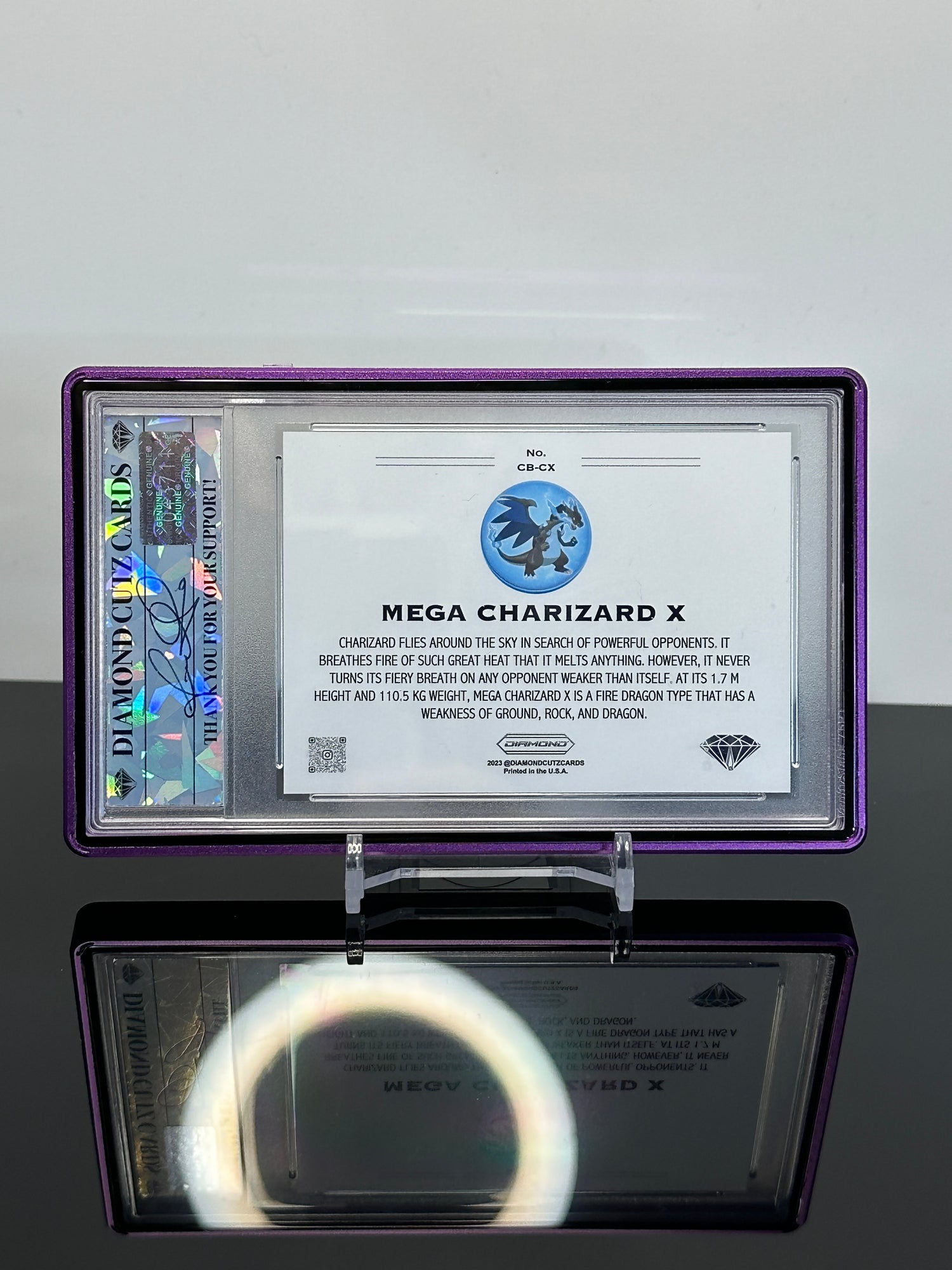 Mega Charizard X Custom Ice Color Explosion